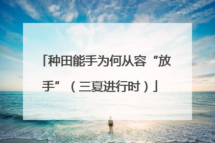 种田能手为何从容“放手”（三夏进行时）