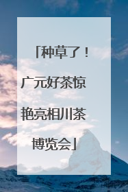 种草了！广元好茶惊艳亮相川茶博览会