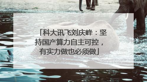 科大讯飞刘庆峰：坚持国产算力自主可控，有实力做也必须做