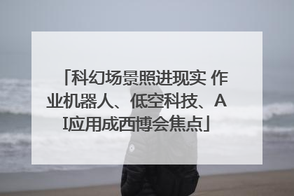 科幻场景照进现实 作业机器人、低空科技、AI应用成西博会焦点