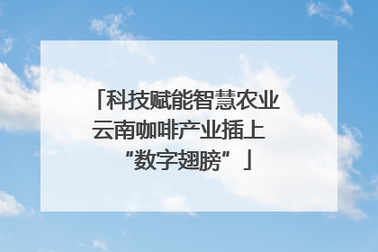 科技赋能智慧农业 云南咖啡产业插上“数字翅膀”