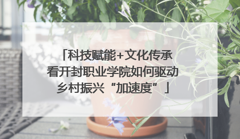 科技赋能+文化传承 看开封职业学院如何驱动乡村振兴“加速度”