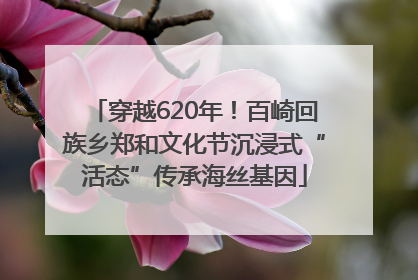 穿越620年！百崎回族乡郑和文化节沉浸式“活态”传承海丝基因