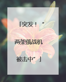 突发！“两架俄战机被击中”