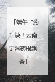 端午“药”诀！云南宁洱药根飘香