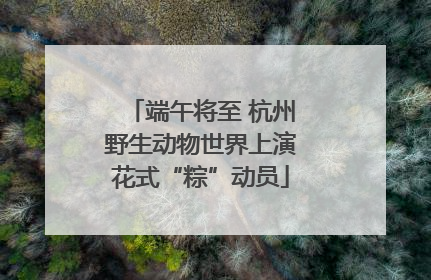 端午将至 杭州野生动物世界上演花式“粽”动员