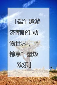 端午趣游济南野生动物世界，“粽享”量级欢乐