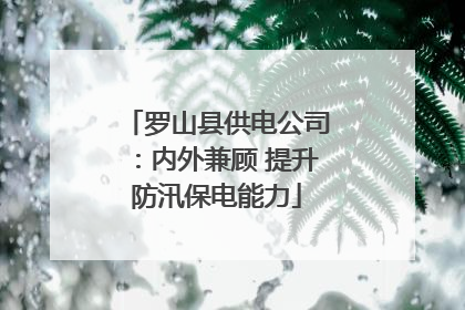 罗山县供电公司：内外兼顾 提升防汛保电能力