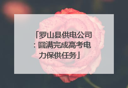 罗山县供电公司：圆满完成高考电力保供任务