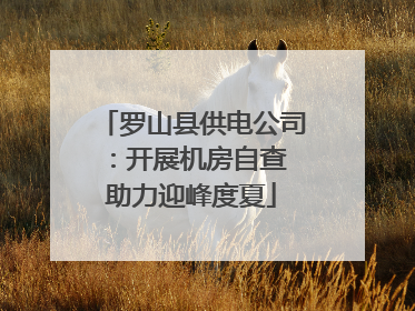 罗山县供电公司：开展机房自查 助力迎峰度夏