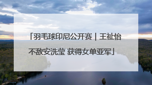 羽毛球印尼公开赛｜王祉怡不敌安洗莹 获得女单亚军