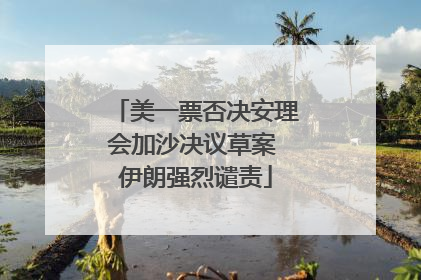 美一票否决安理会加沙决议草案 伊朗强烈谴责