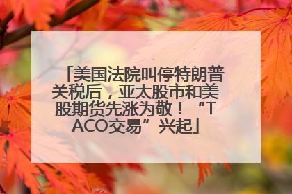 美国法院叫停特朗普关税后，亚太股市和美股期货先涨为敬！“TACO交易”兴起