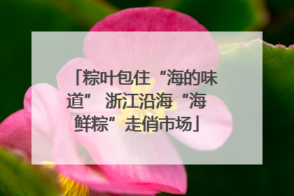 粽叶包住“海的味道” 浙江沿海“海鲜粽”走俏市场
