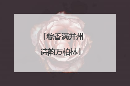 粽香满并州 诗韵万柏林