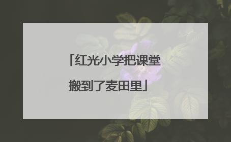 红光小学把课堂搬到了麦田里