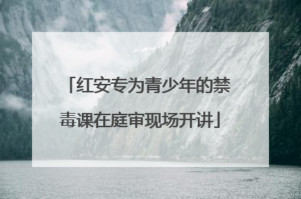 红安专为青少年的禁毒课在庭审现场开讲