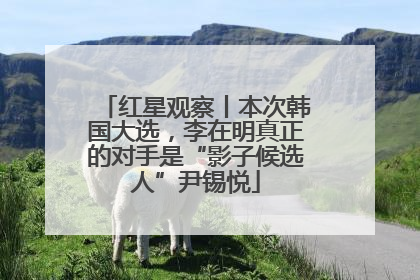 红星观察丨本次韩国大选，李在明真正的对手是“影子候选人”尹锡悦