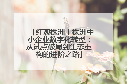 红观株洲丨株洲中小企业数字化转型：从试点破局到生态重构的进阶之路