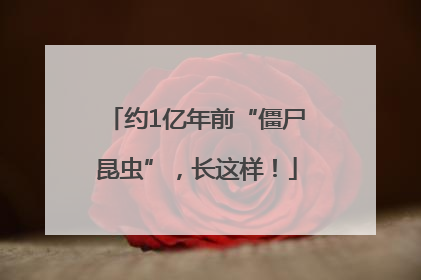 约1亿年前“僵尸昆虫”，长这样！