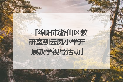绵阳市游仙区教研室到云凤小学开展教学视导活动