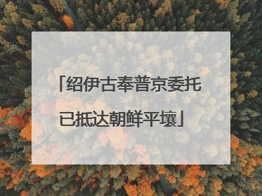 绍伊古奉普京委托已抵达朝鲜平壤