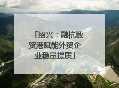 绍兴：融杭数贸港赋能外贸企业稳量提质