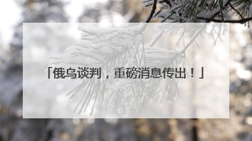 俄乌谈判，重磅消息传出！