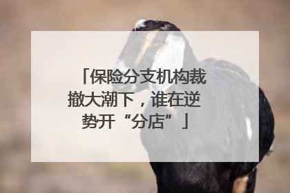保险分支机构裁撤大潮下，谁在逆势开“分店”