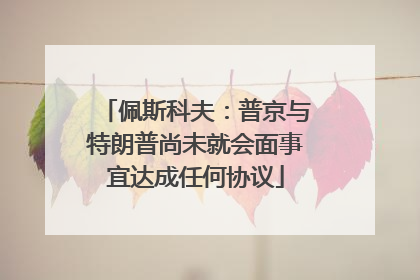 佩斯科夫：普京与特朗普尚未就会面事宜达成任何协议