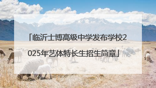 临沂士博高级中学发布学校2025年艺体特长生招生简章