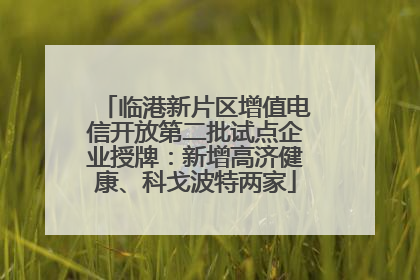 临港新片区增值电信开放第二批试点企业授牌：新增高济健康、科戈波特两家