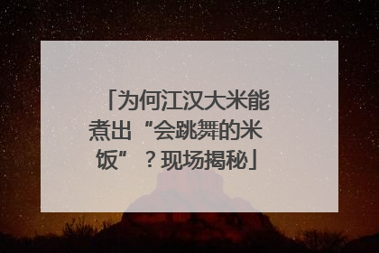 为何江汉大米能煮出“会跳舞的米饭”？现场揭秘