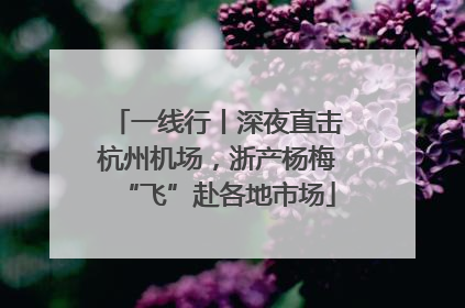 一线行丨深夜直击杭州机场，浙产杨梅“飞”赴各地市场