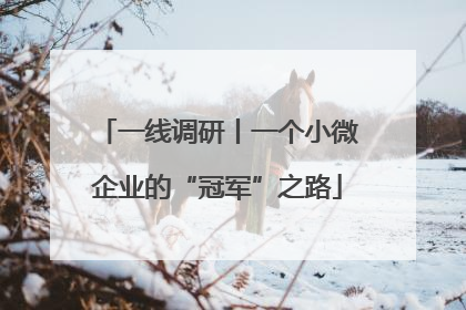 一线调研丨一个小微企业的“冠军”之路