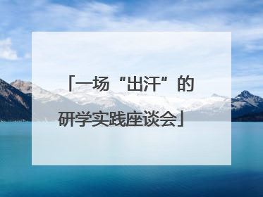 一场“出汗”的研学实践座谈会