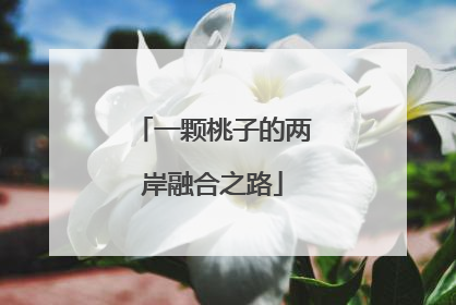 一颗桃子的两岸融合之路