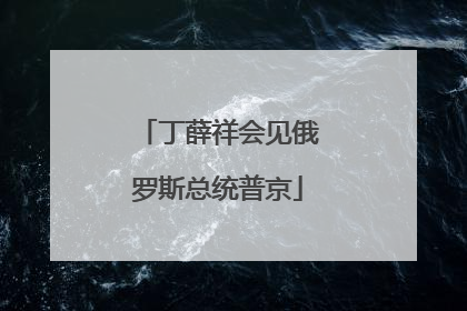 丁薛祥会见俄罗斯总统普京