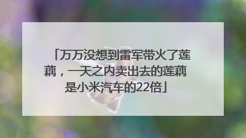 万万没想到雷军带火了莲藕，一天之内卖出去的莲藕是小米汽车的22倍
