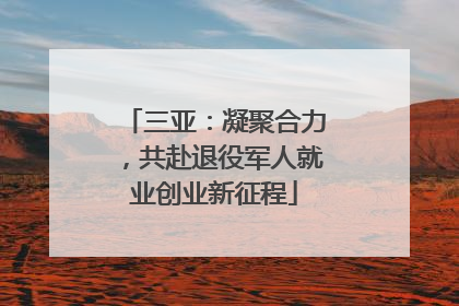 三亚：凝聚合力，共赴退役军人就业创业新征程