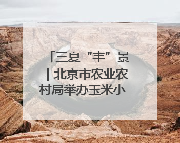 三夏“丰”景｜北京市农业农村局举办玉米小麦智能农机装备推广“田间日”活动