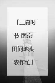 三夏时节 南京田间地头农作忙