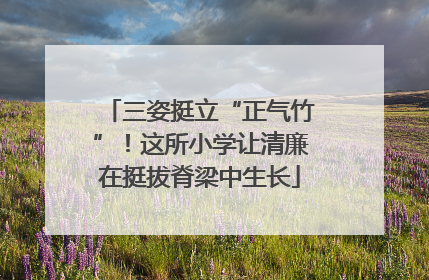三姿挺立“正气竹”！这所小学让清廉在挺拔脊梁中生长