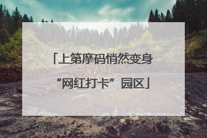 上第摩码悄然变身“网红打卡”园区