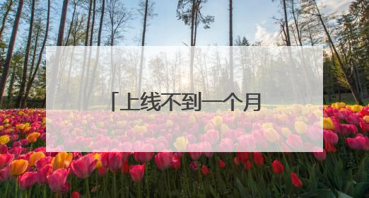 上线不到一个月，淘宝闪购日订单量超4000万