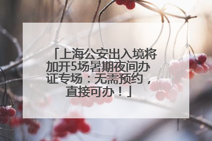 上海公安出入境将加开5场暑期夜间办证专场：无需预约，直接可办！