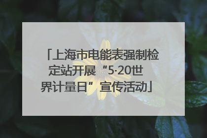 上海市电能表强制检定站开展“5·20世界计量日”宣传活动