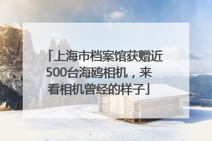 上海市档案馆获赠近500台海鸥相机，来看相机曾经的样子