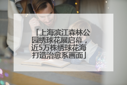 上海滨江森林公园绣球花展启幕，近5万株绣球花海打造治愈系画面