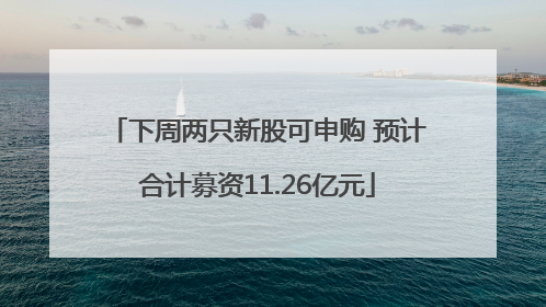 下周两只新股可申购 预计合计募资11.26亿元